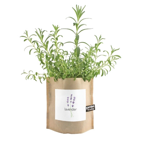 Garden in A Bag | Lavender